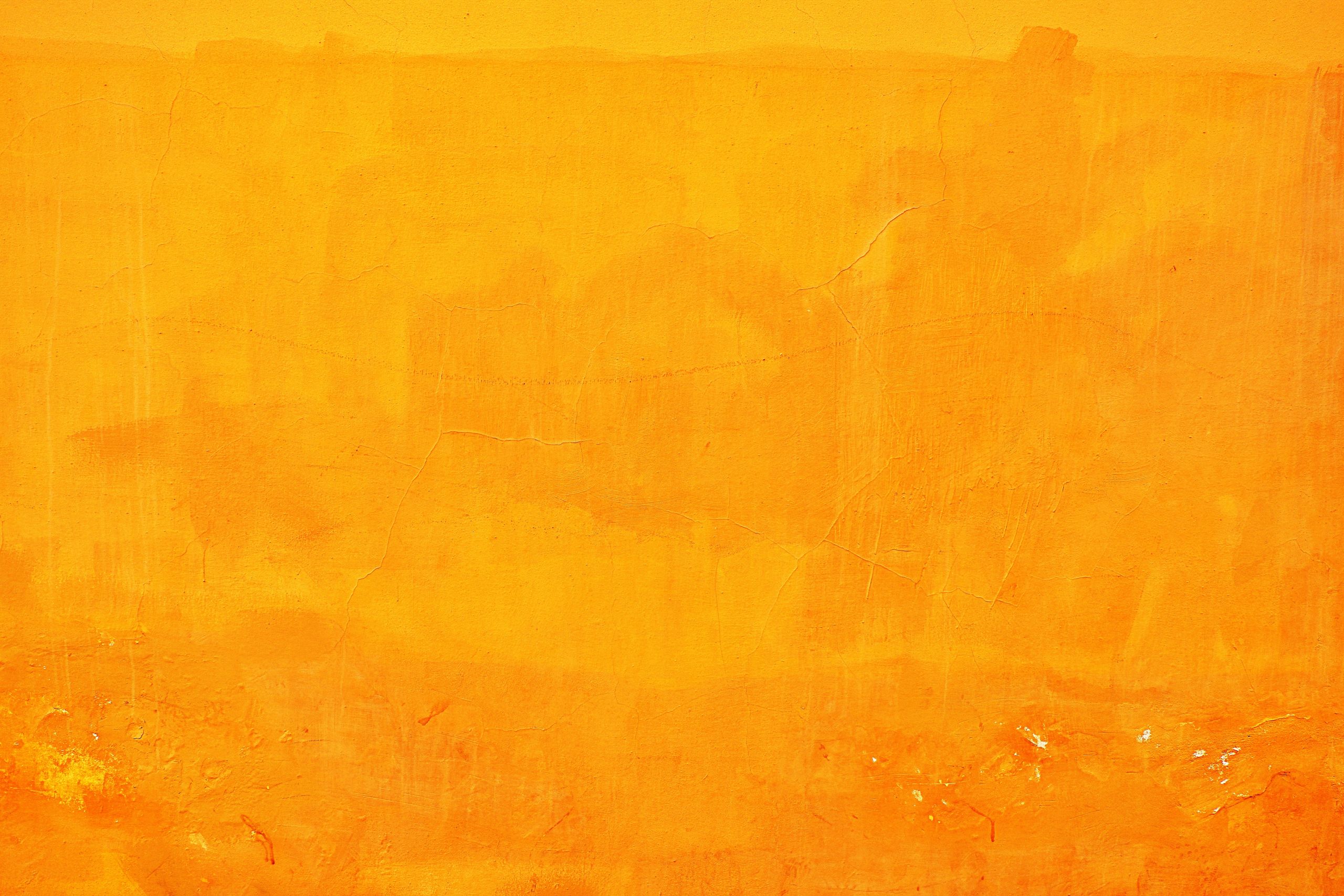 UTAS groups and clubs